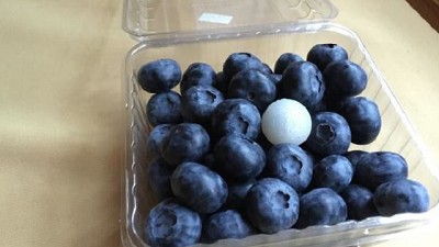 Solución automatizada para la cosecha del arándano azul