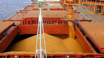 El equipo para generar dólares lo integran el agro y 10 más