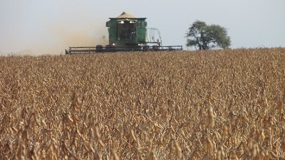 6 señales para ver la luz al final del túnel