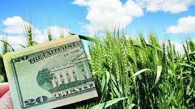 Efecto dólar: cómo queda la agroindustria... y cómo sigue