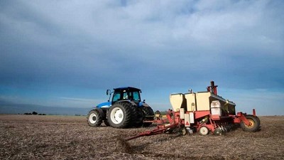 En esta campaña, cada dos lotes de soja uno va a ser de gramíneas