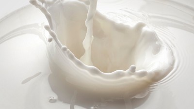 Desarrollan leche más nutritiva para los seres humanos