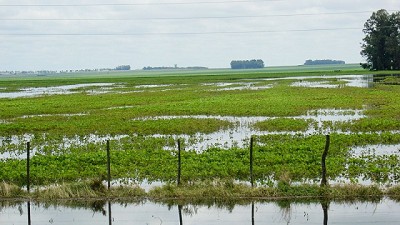 Agroindustria declaró por un año la Emergencia Agropecuaria en Río Negro