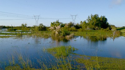 Agroindustria declaró la Emergencia Agropecuaria en Formosa