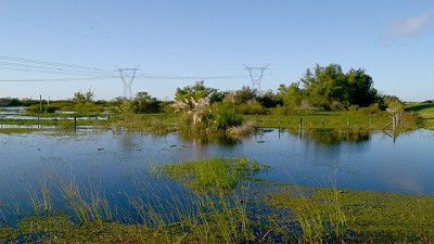 Agroindustria declaró la Emergencia Agropecuaria en Formosa