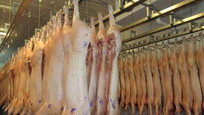 Confirman que Argentina comenzará a exportar carne de cerdo a China