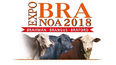 Ya llega ExpoBRA 2018