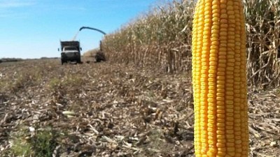 En busca de una nueva utopía para salir de la crisis por arriba