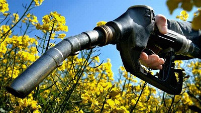 Aumenta el precio del biodiesel que se utiliza para cortar gasoil