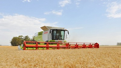 Los contratistas rurales tienen las fichas puestas en el trigo