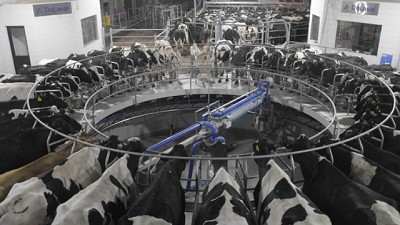 Congreso panamericano de lechería, esta semana en La Rural