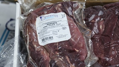 Argentina exporta por primera vez carne de guanaco
