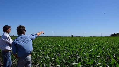 Manejo agronómico desde otra perspectiva