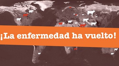 Un ingenioso juego para el celular sobre peste bovina y sanidad animal