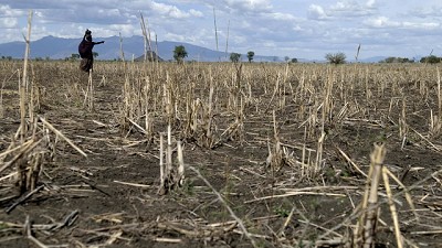 Un “box” de agricultura de precisión para productores pobres de Africa
