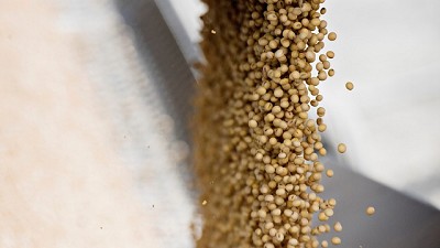 Los planetas de la soja, alineados a la baja