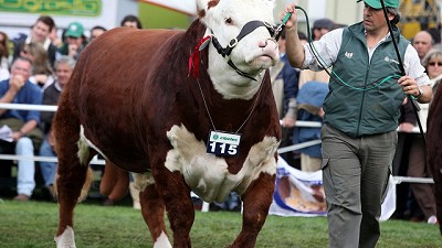 Uruguay también quiere llegar a Japón con su carne