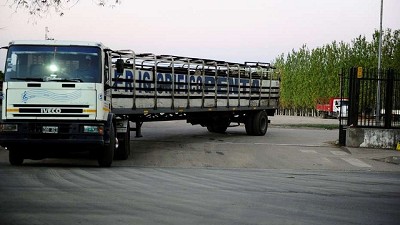 Junín: aseguran que una tasa que se cobra por trasladar el ganado es “inconstitucional”