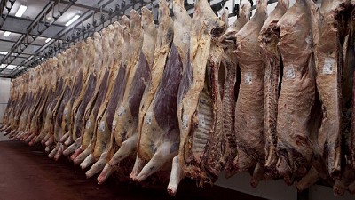 Avanza ordenamiento de la cadena de la carne bovina