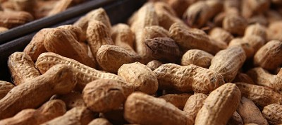 BASF lanza Gestus, una innovación en su paleta de polímeros para el cultivo de maní