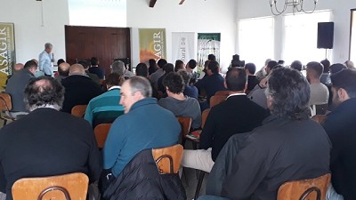 El girasol despliega todas sus virtudes en el Oeste