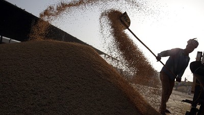 Los empresarios del arroz denunciaron que atraviesan una crisis gravísima