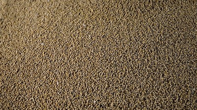 Repuntó la soja, después de tocar su precio mínimo en diez años