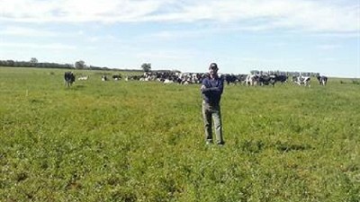 Entre el cierre y la venta forzada de vacas: el duro momento de muchos tambos