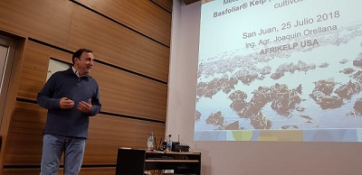 Un alga como aliada de la productividad