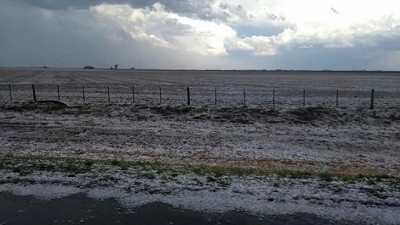 La tormenta de granizo dejó graves daños en cultivos
