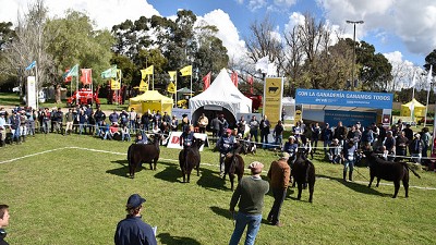 Juras, charlas técnicas del INTA, y las ventas de Angus en La Nación Ganadera