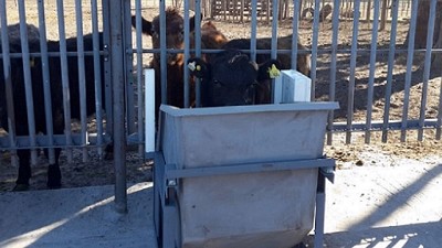 Ganadería de precisión: yendo a los comederos inteligentes