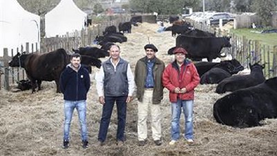 Ganadería: una hoja de ruta para potenciar el crecimiento y mejorar el negocio