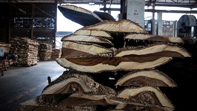 Los industriales de la madera prevén una caída del 8% este año