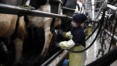 Un tercio de la producción del agro chino ya lo generan las grandes corporaciones