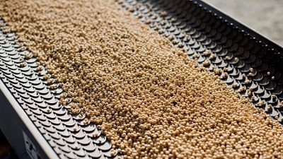 Retenciones: del consenso para que las apruebe el Congreso a las dudas sobre plazos y porcentajes