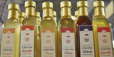 Feria Forestal 2018: Ambiente promueve el uso sustentable de la biodiversidad