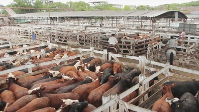 Lunes en Liniers: la oferta aumentó por previsión ante el paro