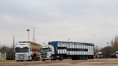 Martes en Liniers: Plaza tranquila