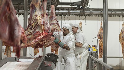 Mejores alimentos: El Senasa trabaja en la infraestructura e higiene de los frigoríficos provinciales