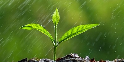 Registro de lluvias caídas el 29 de septiembre