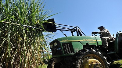 Agroindustria distribuye la cuota de azúcar crudo a Estados Unidos para el período 2018/2019