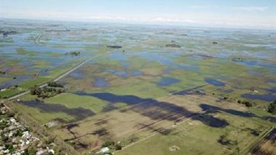 Las lluvias castigaron a la cuenca del Salado y prevén daños en ganadería y maíz