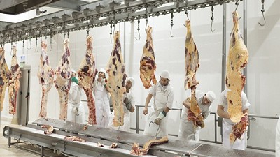 El Senasa avanza con el ordenamiento de la cadena de la carne bovina