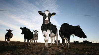 Los tamberos harán una protesta la semana próxima