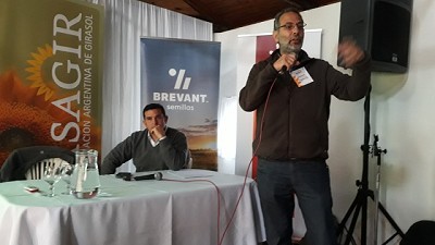 Estabilidad y buenos márgenes le dan la derecha al girasol en el Oeste