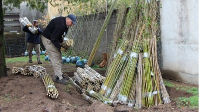 Agricultura entregó 16.400 árboles en el sur provincial