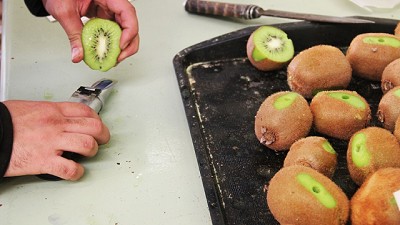 Los secretos del kiwi, una fruta deliciosa y de alto potencial comercial