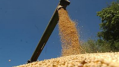 Granos: empieza el scoring, pero antes la AFIP detecta incumplimientos