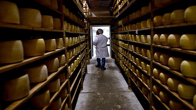 Las exportaciones de lácteos aumentaron 24,3%